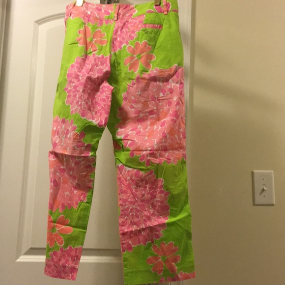 Capris - Picture 4 of 5